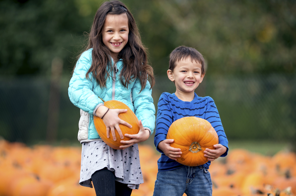 fall activities in Somerset County