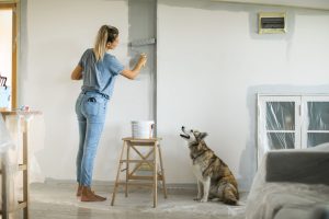 Budget-friendly low-cost home renovation and improvement ideas