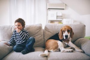 a boy and dog on the couch