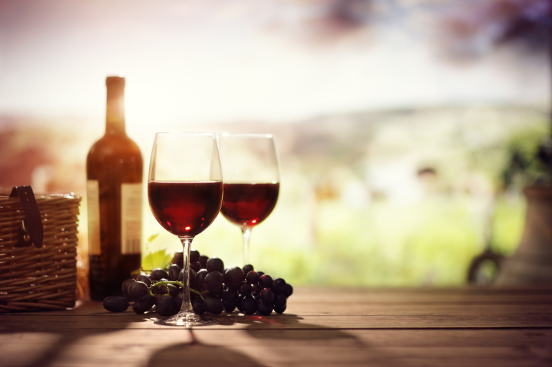 Wineries in New Jersey that you should visit